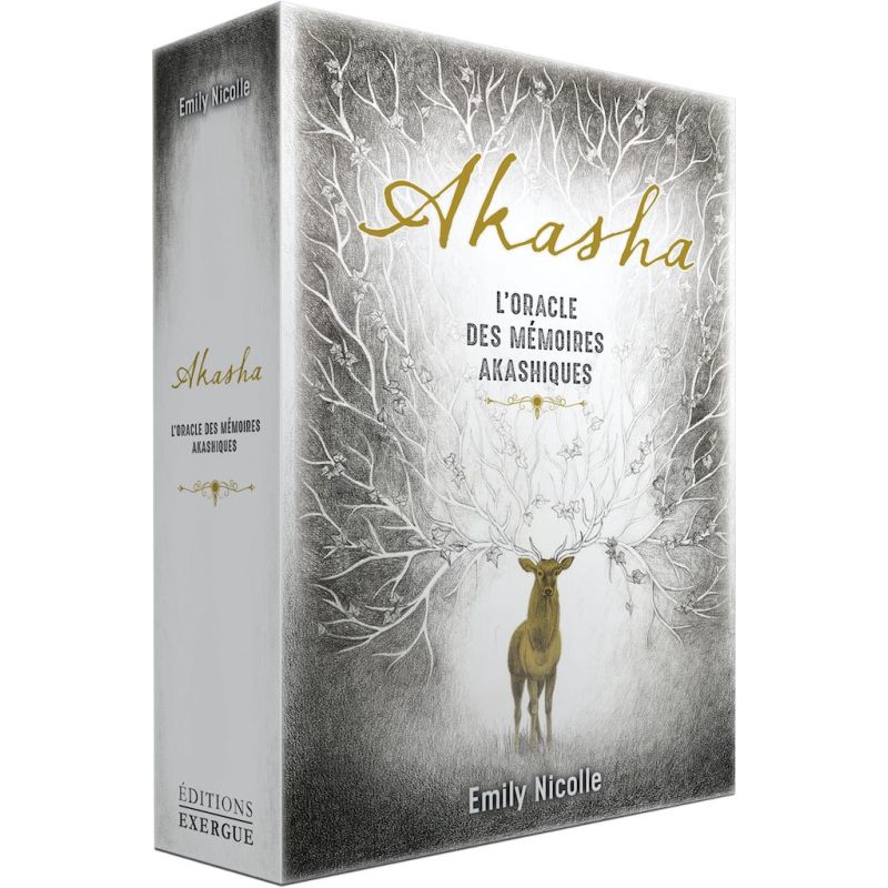 Voyage dans les mémoires akashiques : comprendre leur impact sur notre spiritualité