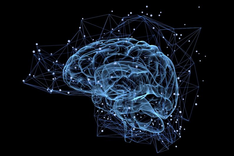explorez le lien fascinant entre la mémoire et les cellules, découvrez comment nos neurones et leurs interactions influencent notre capacité à mémoriser et à apprendre, et plongez dans les découvertes scientifiques qui éclairent notre compréhension du cerveau.