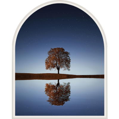 découvrez l'hypnose spirituelle, une pratique bienveillante qui vous permet d'explorer votre subconscient, de libérer des blocages émotionnels et d'accéder à des états de conscience modifiés pour favoriser votre épanouissement personnel et spirituel.