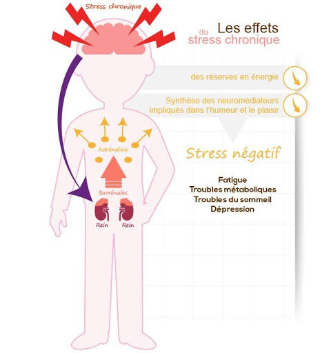 Stress et sophrologie : comment la pratique peut apaiser l’esprit