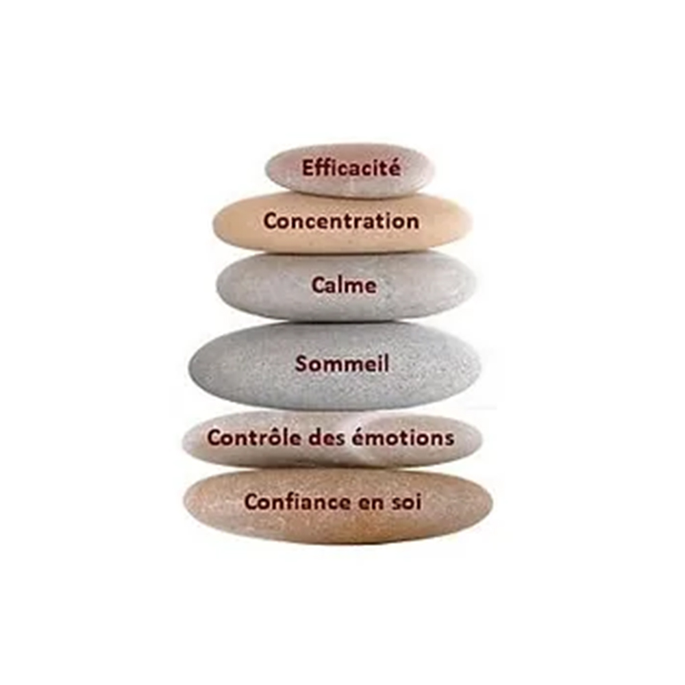 découvrez comment la sophrologie peut vous aider à gérer le stress au quotidien. apprenez des techniques de relaxation et de pleine conscience pour retrouver sérénité et équilibre.